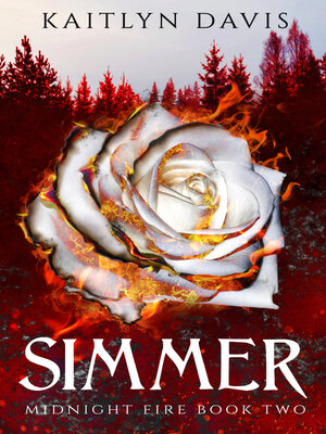 Simmer - ebook
